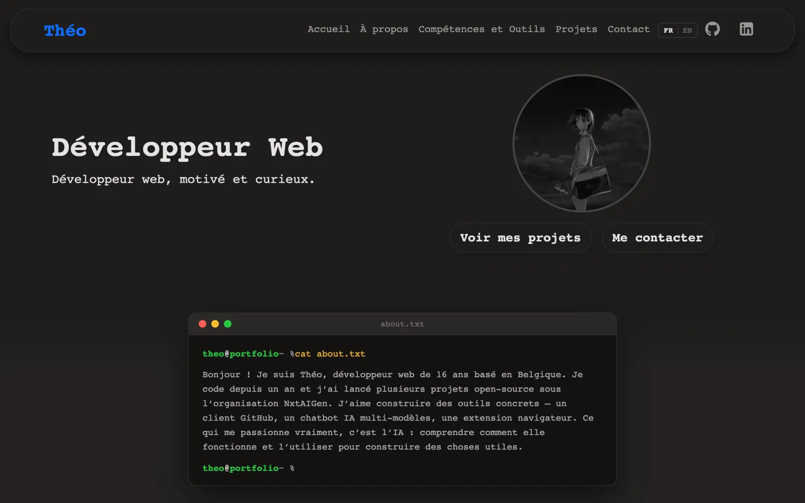 Page d'accueil du portfolio de Théo&nbsp;: titre «&nbsp;Développeur Web&nbsp;», liens vers les projets et le contact.